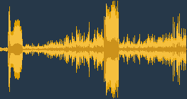 نقار الخشب الأسود