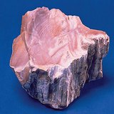 أوبال الخشب