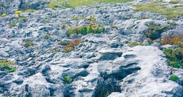 رصيف من الحجر الجيري