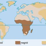 A nagyrasszok térbeli elhelyezkedése – 2