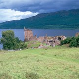 مرج أخضر في المناطق المناخية المحيطية