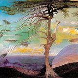 تيفادار تشونفاري كوستكا: شجرة الأرز الوحيدة