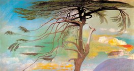 تيفادار تشونفاري كوستكا: شجرة الأرز الوحيدة