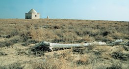 منطقة شبه قاحلة في آسيا الوسطى