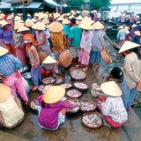 سوق السمك في فيتنام