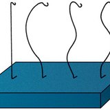 فحص انحناء العمود الفقري