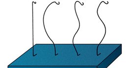 فحص انحناء العمود الفقري