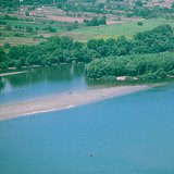 الشعاب المرجانية في نهر الدانوب