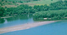 الشعاب المرجانية في نهر الدانوب