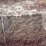 خصائص التربة الملحية