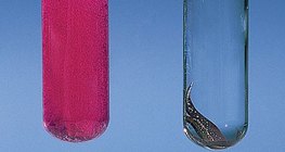 تفاعل الكالسيوم و النحاس مع الماء