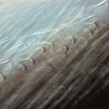 التركيب الدقيق لريش الطيور (يمكن أيضاً رؤية الخطافات التي تصل أجزاء الريش ببعضه)