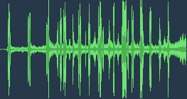 خطاف الذباب مطوق