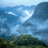 الغابات المطيرة في أمريكا الوسطى