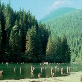 البحيرة الحمراء (رومانيا)