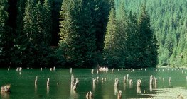 البحيرة الحمراء (رومانيا)