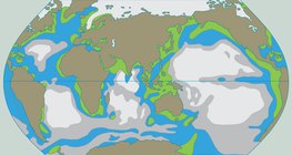 المحتوى الغذائي للمياه
