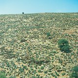 صحراء حجرية