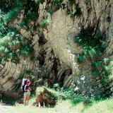 طيات الطبقات الصخرية