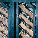 البيض في الحاضنة