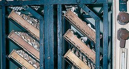 البيض في الحاضنة