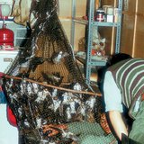 وضع خواتم على أرجل طيور سنونو في الشبك