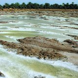 أسرة ملحية تتشكل من تبخر البحيرات الدورية