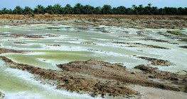 أسرة ملحية تتشكل من تبخر البحيرات الدورية