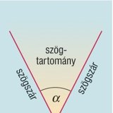 أجزاء الزاوية