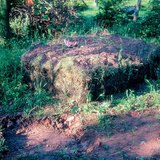 التحويل إلى سماد