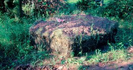 التحويل إلى سماد