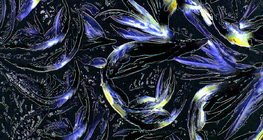 بلورات الحمض الأميني المسمى الجليسين