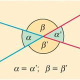 زوايا متقابلة بالرأس