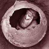 اثار الوركاء1