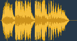 سالفي ريجينا