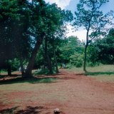 تربة اتيرايت في المكسيك