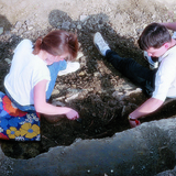 علماء الآثار أثناء العمل