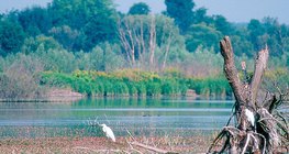 البالاتون الصغير، المجر