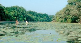 احدى فروع نهر تيسا النائية