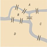 جسور كونيغسبرغ السبعة