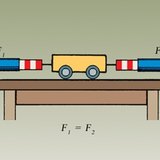 القوى التي تؤثر على الأجسام في حال السكون