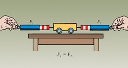 القوى التي تؤثر على الأجسام في حال السكون