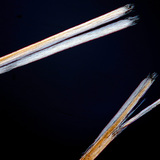 شعر ذو نهايات متكسرة