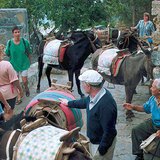 "موقف تاكسي" في جزيرة رودس