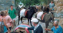 "موقف تاكسي" في جزيرة رودس