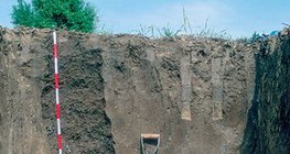 مقطع تربة شرنوزم