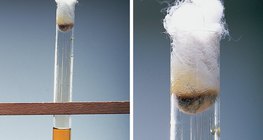 تفاعل ماء البروم مع يوديد البوتاسيوم