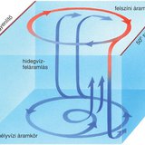 Óceáni medence önálló vízkörzési rendszere