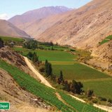 Valle de Elqui
