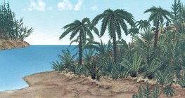 نباتات العصر الجوراسي